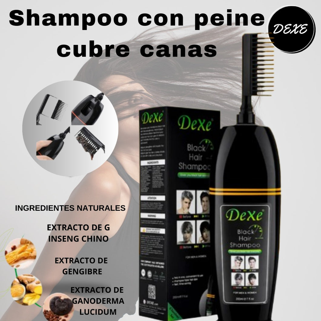 NUEVO SHAMPOO CUBRE CANAS DEXE