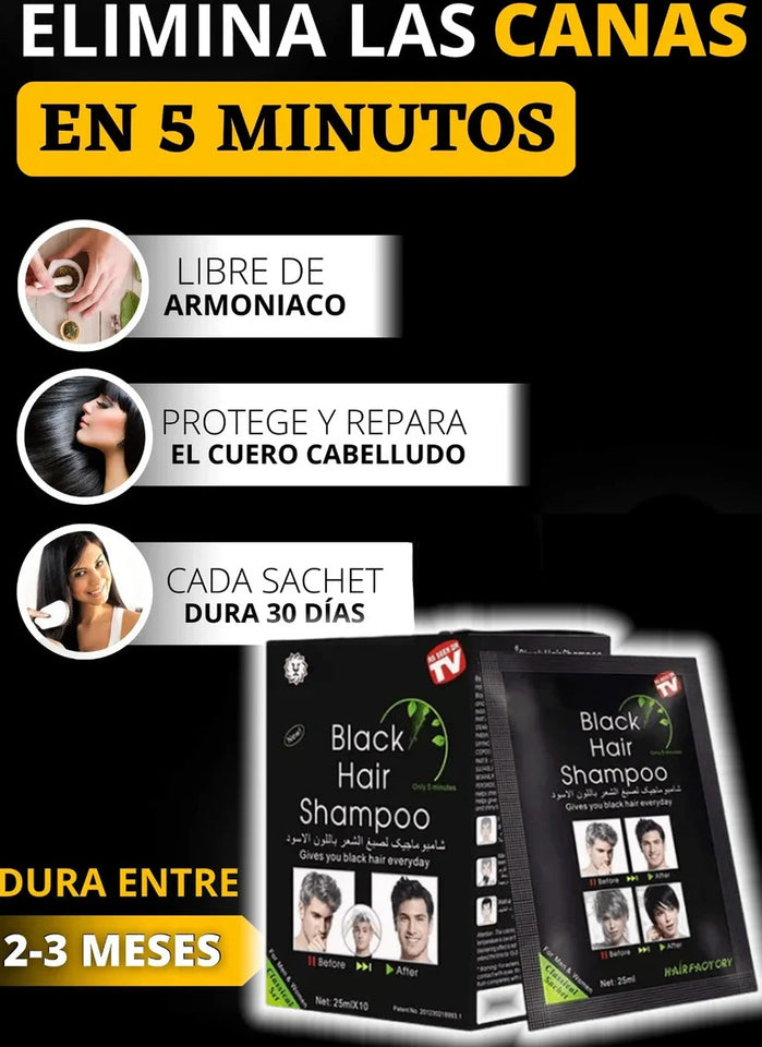 NUEVO TINTE SHAMPOO ANTICANAS DEXE EN CAJA